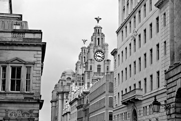 Liverpool's Royal Liver Building Clock Face
