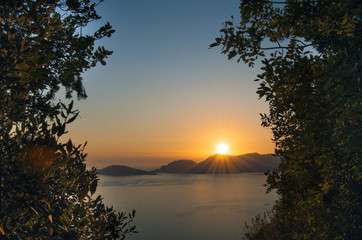 Palmaria sunset into the trees #2