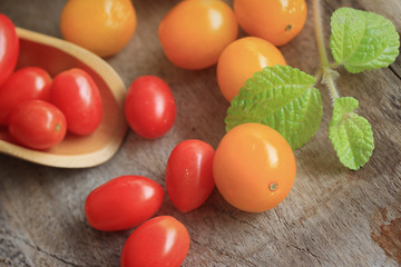 fresh tomatoes with mint leaves
