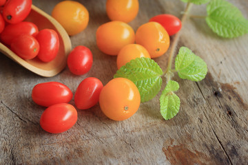 fresh tomatoes with mint leaves