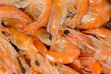 Fresh shrimps boiled and steamed