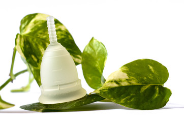 White menstrual cup with green leaves isolated in white background