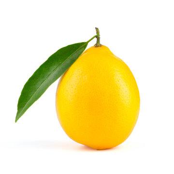 Yellow lemon with leaf isolated 