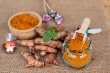 Turmeric herb yellow powder and fresh turmeric.