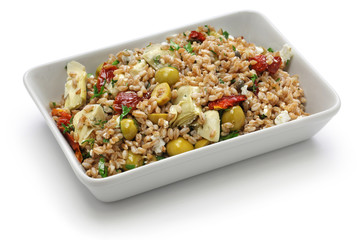 spelt salad, insalata di farro, italian cuisine isolated on white background