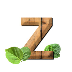 Vintage wooden letter Z with green leaf