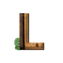 Vintage wooden letter L with green leaf