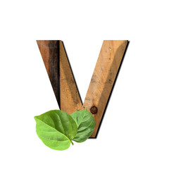 Vintage wooden letter V with green leaf