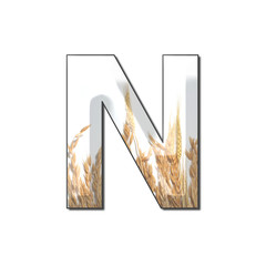 wheat inside letter