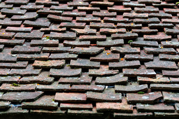 Dachschineln, altes Dach