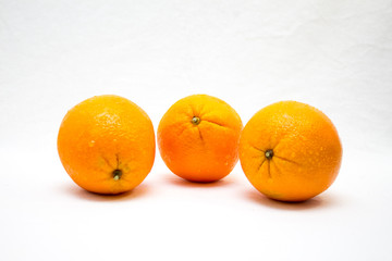 oranges on a white background 