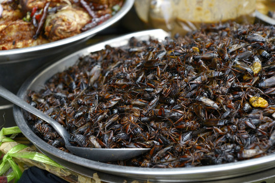 Insectos cocinados