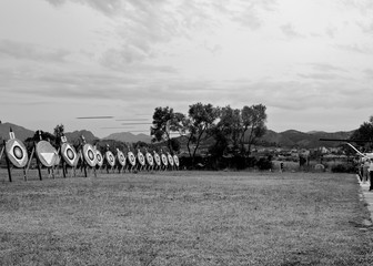 Arrows
