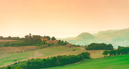 Fototapeta na wymiar Fields in Tuscany