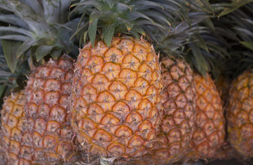 Pineapple at Indian market