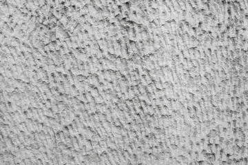 Texture of cement wall