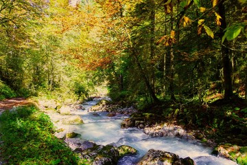 Obraz premium Der Hammersbach bei Grainau
