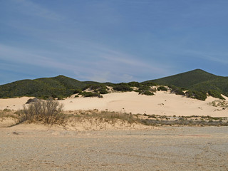 Piscinas, dune landscape at the Costa Verde, Southwest Sardinia, Italy, Europe