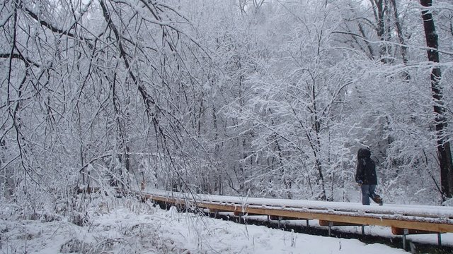 hiver