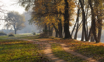 road and autumn trees