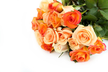Bouquet of orange roses on white background