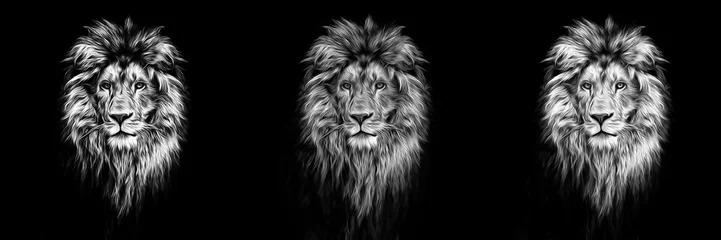 Gordijnen Portret van een mooie leeuw, leeuw in het donker, olieverf © Baranov