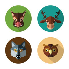 Set flat icons of forest animals like the wild boar, deer, wolf, owl on a colored background