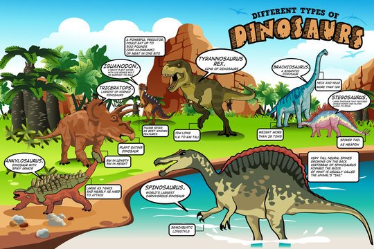 Different Types of Dinosaurs Infographic