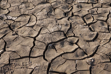 California drought: ffects of climate change and global warming