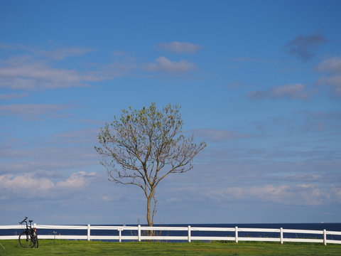 Ostseek&uuml;ste bei Waabs in Schleswig holstein