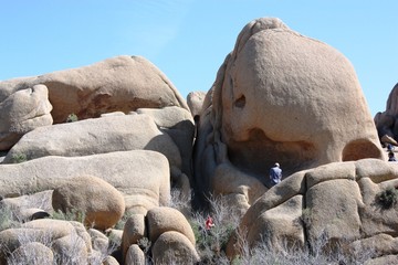 Bare rock formations in Joshua Tree National Park, California USA