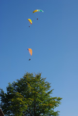 persone mentre praticano il parapendio