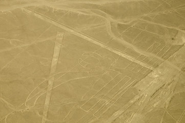 The Parrot - Nasca Lines - Peru