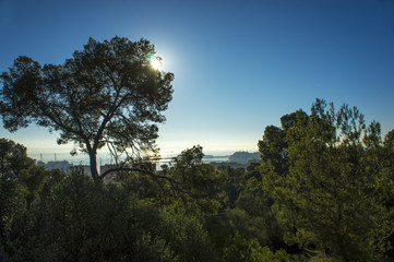 Panorama of Palma de Mallorca