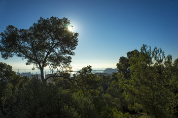 Fototapeta premium Panorama of Palma de Mallorca