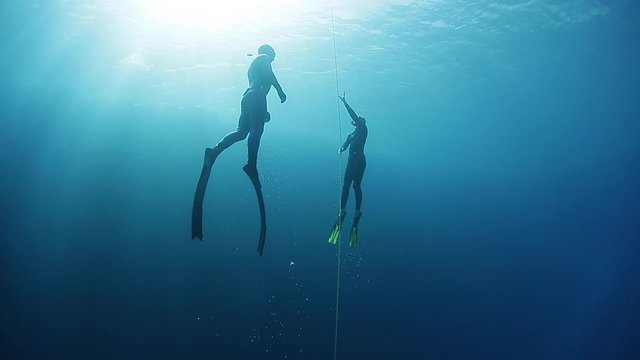 Free divers ascend from the depth. Free immersion discipline of freediving