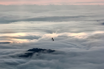 Church at sunrise in foggy morning - Alba, Romania