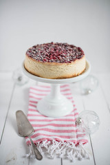 cranberry cheesecake 