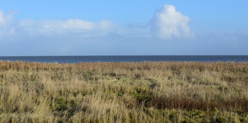 Braderupter Heidelandschaft