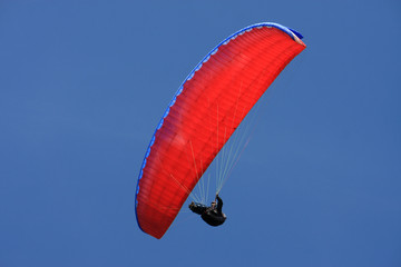 Paraglider