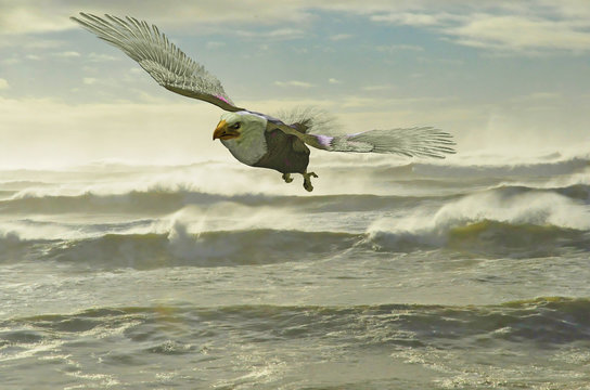 Rendering of a bald eagle flying low over the Pacific Ocean surf at a Washington state beach