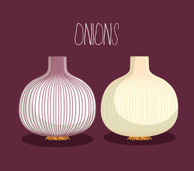 Vegetables healthy food 