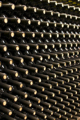 wine bottles in cellar
