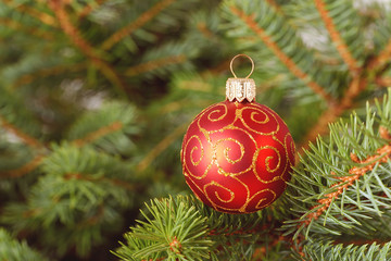 Christmas tree with decoration