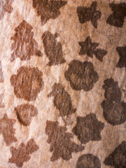 gingerbread traces on baking paper
