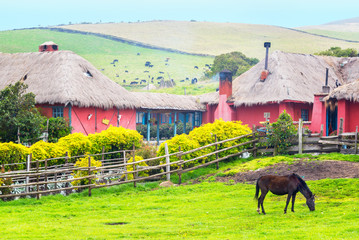 Horse and Hacienda