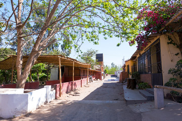 Fototapeta na wymiar Street in Peruvian Pisco Zone