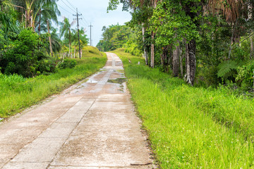 Amazonian Highway