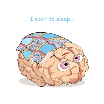 Tired Brain With Checkered Blanket In Cartoon Style. Concept Of Tiredness, Recreation And Overloading Of Brain.