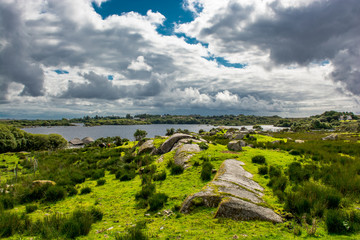 Weide an einem See in Connemara in Irland